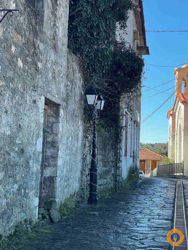 Parnon - Vamvakou, by George, our Gastronomic correspondent from "Taste Local Greece" - Gastronomy Tours img 9253 orig 1 - Gastronomy Tours